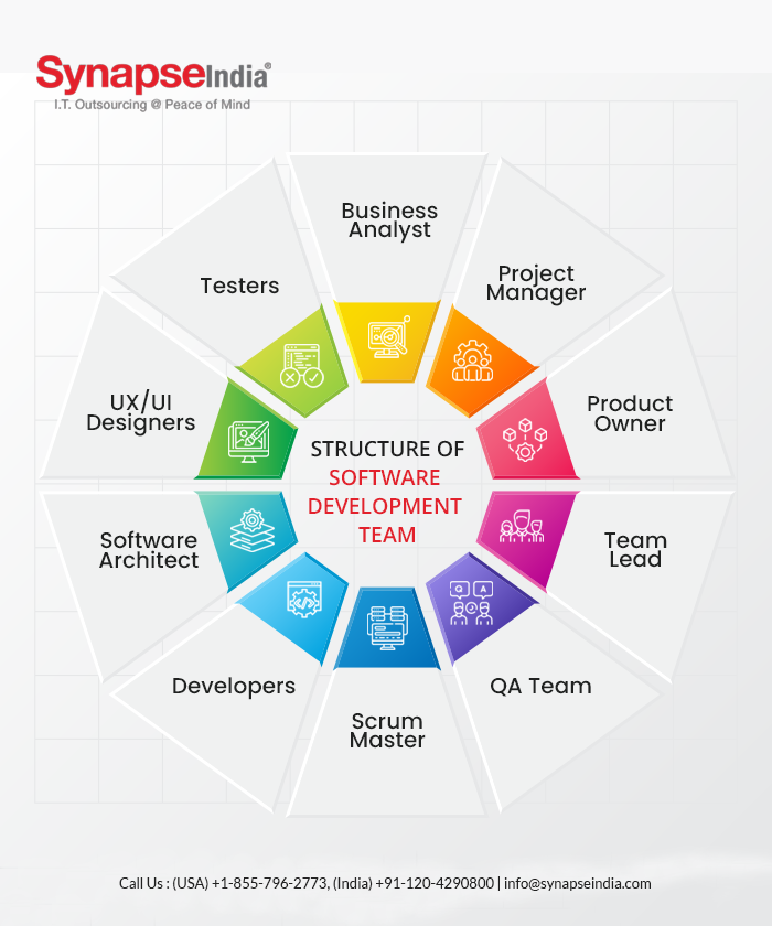 Structure of software development team- Infographic